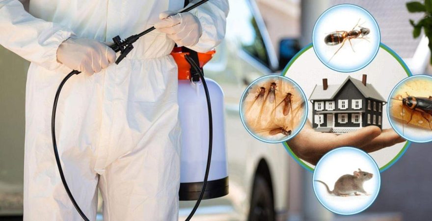 Koyundere Böcek İlaçlama