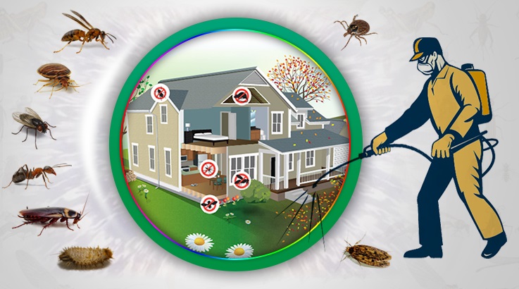 Koyundere Böcek İlaçlama