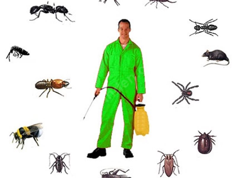 Koyundere Böcek İlaçlama